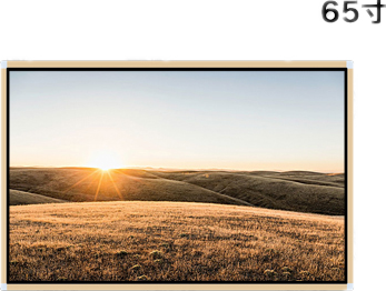 65寸壁挂触摸一体机
